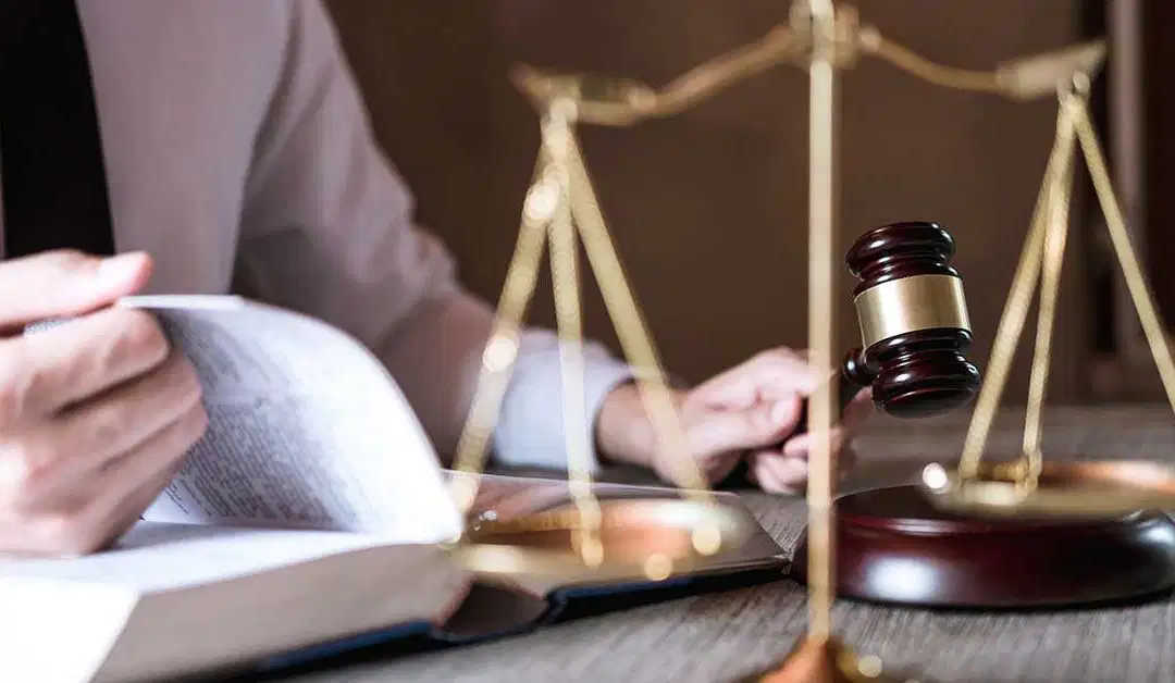 Monongalia County Teen Court Appoints Bane to Board of Directors