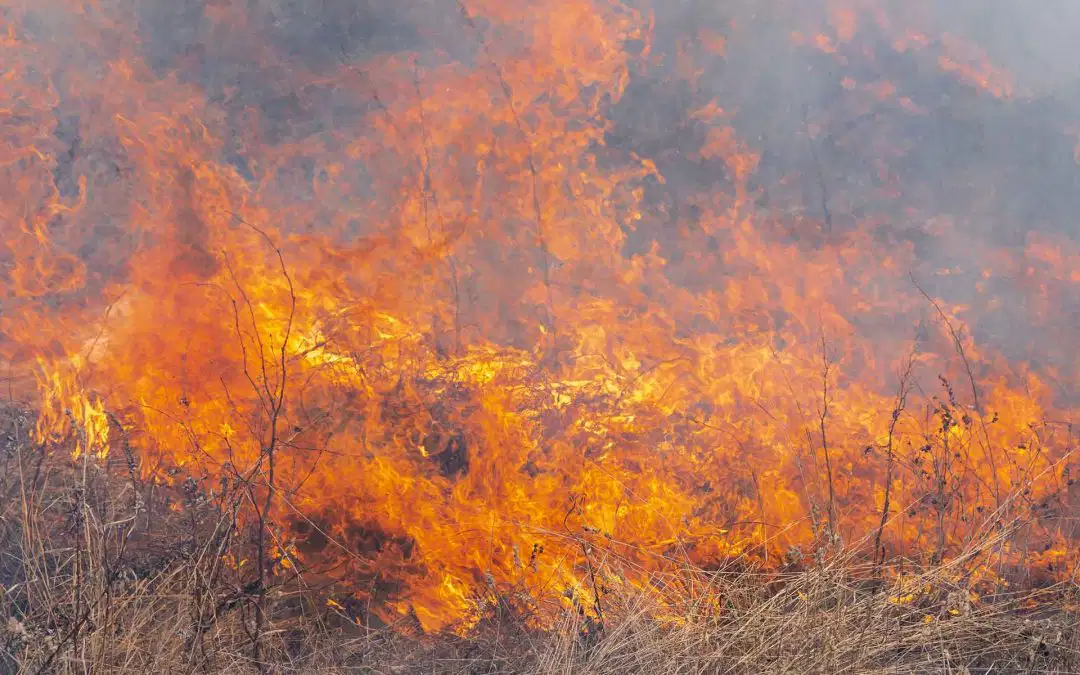 Fall No Burning Law in West Virginia Runs October 1 – December 31